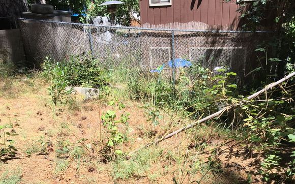 Erin Hunsinger 1-909-338-4708 by Forest Yard Work