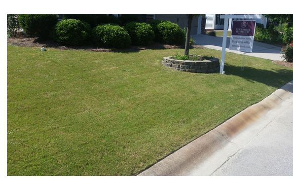 Landscaping Janitorial And Handyman, Landscaping Services In Columbia Sc