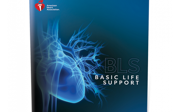 Aha Bls Basic Life Support For Healthcare Providers By Hawaii Cpr To Go