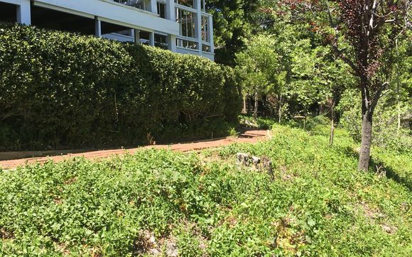 Gardener and tree trimming,hauling by Forest Yard Work