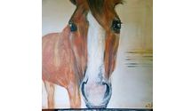 Animal Fine Art Original Painting (Animal Portrait)  by Aubre' Murphy Studio- Fine Art For Business Owners 
