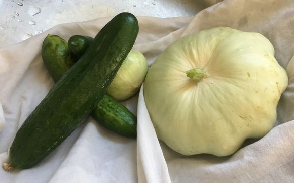 Speaker on wellness topic: sleep nutrition activity stress by Stepwise Health Platinum