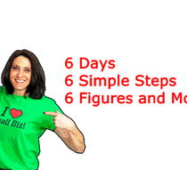 6 Days, 6 Simple Steps, 6 Figures and More by Next Level Franchise Group