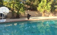Weekly pool service and Construction counseltation  by Gary’s pool service