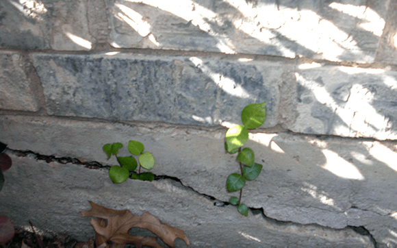 Foundation Repair by Barney Ballard Corporation