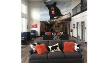 Interior Design by AB Contracting, Inc