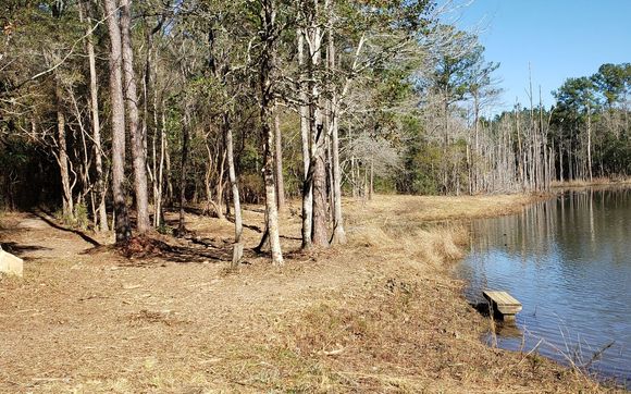 Forestry mulching and boom mowing  by Gossman Incorporated