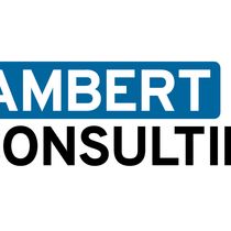 Business Consulting Package by Lambert Consulting, LLC.