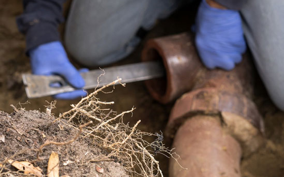 Sewer Problems by AAA AUGER Plumbing Services