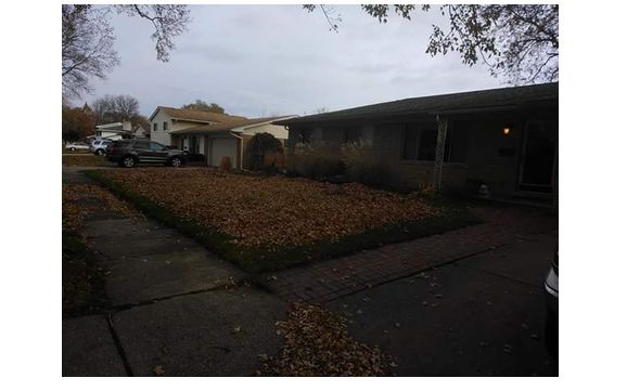 Leaf & Debris Removal by SCHU CAN DO 2-PROPERTY SERVICES