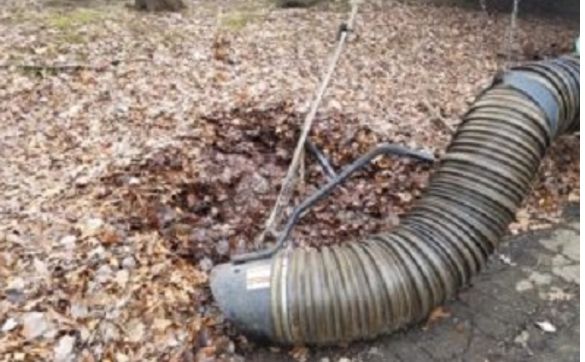 Fall Cleanup by B-Sharp Property Maintenance