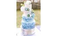 Wedding cakes, cupcakes and dessert tables by Blue Elephant Confections LLC
