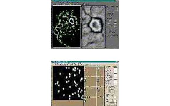 Image Companion™ by 1 World Solutions