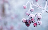 Prepare for Winter, it's coming! by B-Sharp Property Maintenance