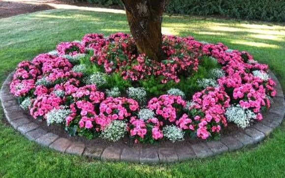 Landscaping by Power Clean of Texarkana