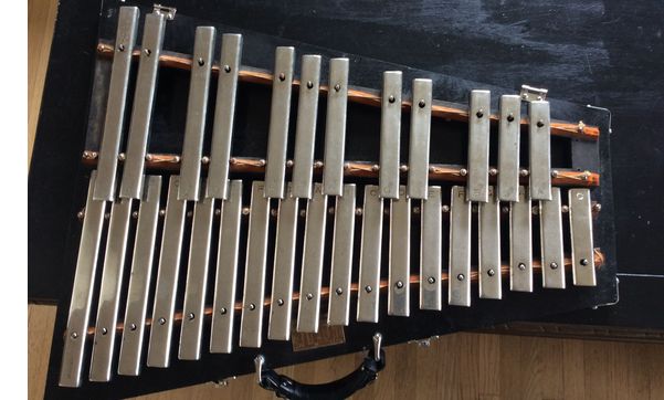 Percussion instrument rentals by Denali Williams - Percussionist