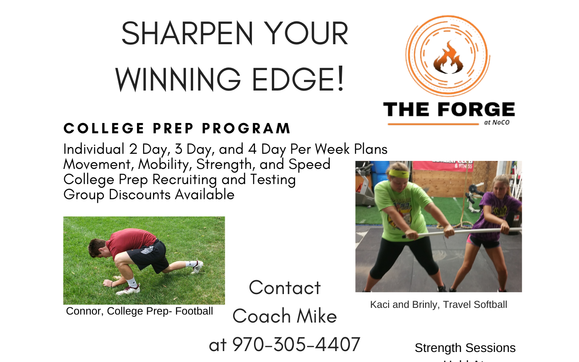 High School/College Sports Performance by The Forge