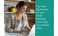 Small Business, Big Dreams by Accountable CFO, LLC