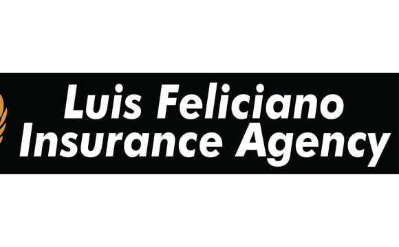 Obama Care 2020 by Luis Feliciano Insurance Agency LLC