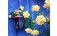 Garden consulting and garden design. by Amanda's Garden Consulting Company