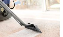 Carpet Cleaning by Clean Indeed