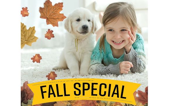 Residential Fall Carpet Cleaning Special by Dri Ready