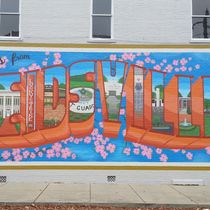 Muralist: Designing and Painting by Mary E D Ryan Art