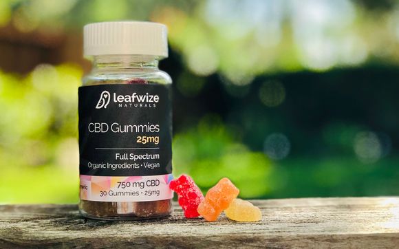 Certified Organic Hemp CBD Gummies by Leafwize Naturals CBD