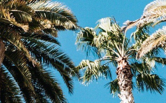 Virtual, Face to Face & Hybrid Meeting Solutions; Events and Teambuilding, Hotel Sourcing and Contracting by HPN Global