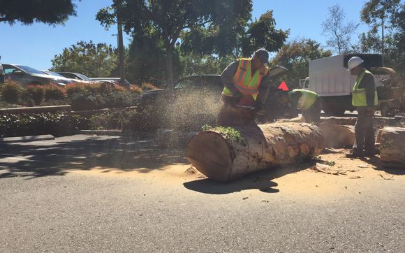 Patios, Walkways, & Driveways by Southwest Tree Care & Landscape Design ...
