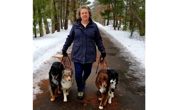 Dog Training by Beacon Bay Dog Training