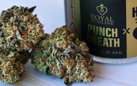 PunchBReath by Peak Humboldt