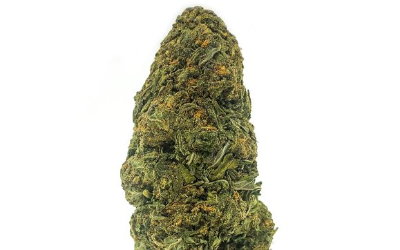 Premium Organic Hemp Flower by Boston Hempire