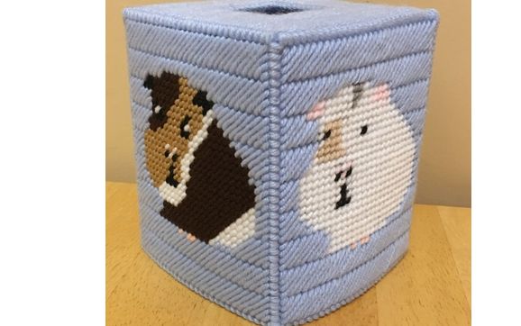 Guinea Pig Tissue Box Cover  by Country Reflection Crafts