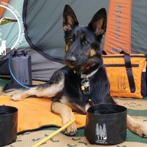 grab 'n go dog bag by ramsey gear
