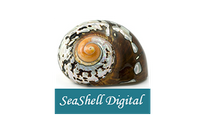 Preview a New Website for Free! by SeaShell Digital