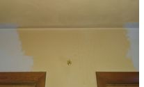 Painting - interior and exterior by Cynthia Branch- Painting