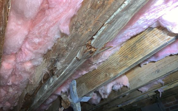 Structural Repair by Crawlspace Medic®