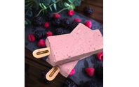 Yogurt & Berries  by Sorbetto Gelato