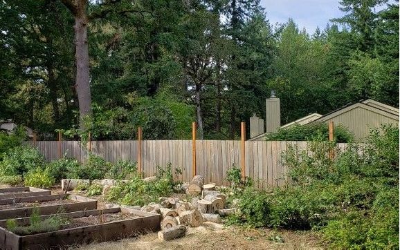 After removing trees to let the light in by Peter's Tree Service