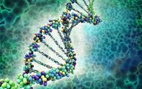Find Out The Secrets of Your DNA - For FREE! by Biomedicine Holistic Healing Clinic Inc.