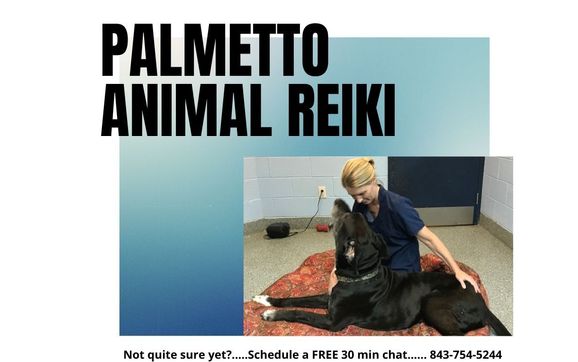 Reiki Master and Energetic Counselor by Palmetto Animal Reiki