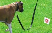 Pet Stop Dog Fences by Syracuse Dog Fence