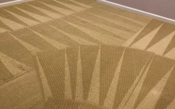 Carpet Cleaning  by East Coast Steam LLC