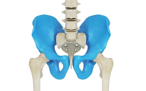 Pelvic Therapy By Fyzical Therapy And Balance Center Of Germantown In