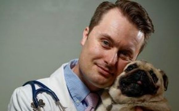 Oncology by Belle Mead Animal Hospital