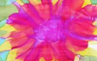 Intuitive Painting Workshops by Carol Lorraine~ Blossom into Your Soul's Beauty