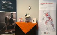 BEMER session by Independent BEMER Distributor