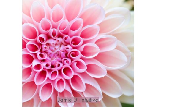 30 Minute Intuitive Reading by Jamie D. Intuitive