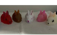 Adoptable Pets by Country Reflection Crafts